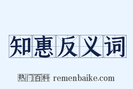 知惠反义词是什么意思的图片